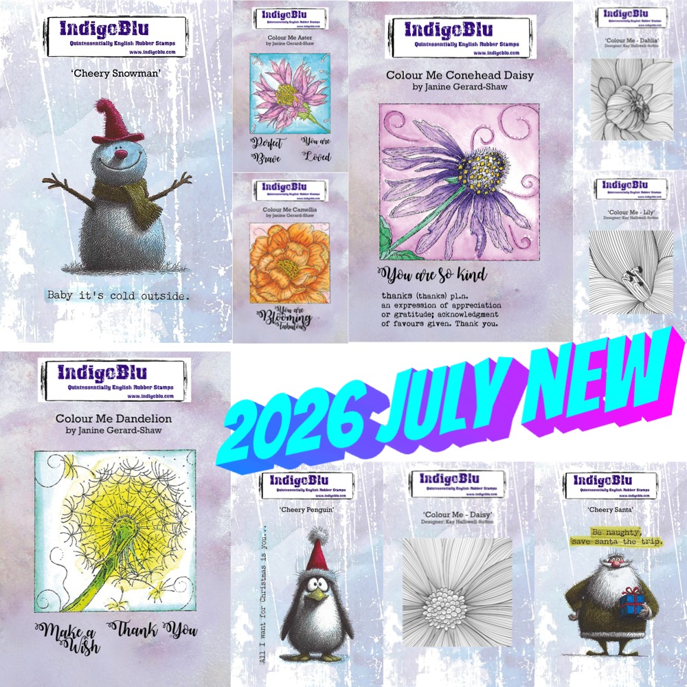 2026 August New Aster Flower I - Clear Silicone Stamps For Card Making 评论和价格