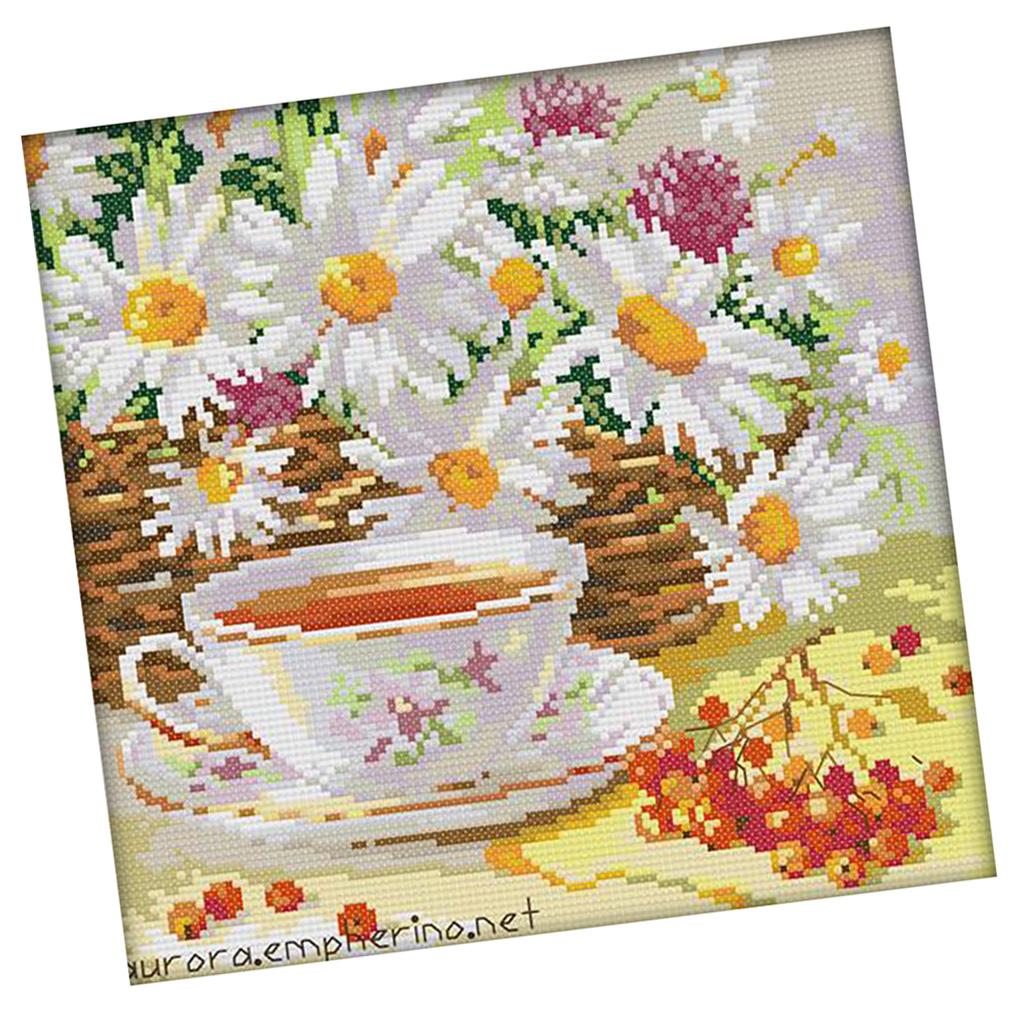 Cross Stitch Kits for Adults B - Cross Stitch Stamped Kits Beginners 评论和价格