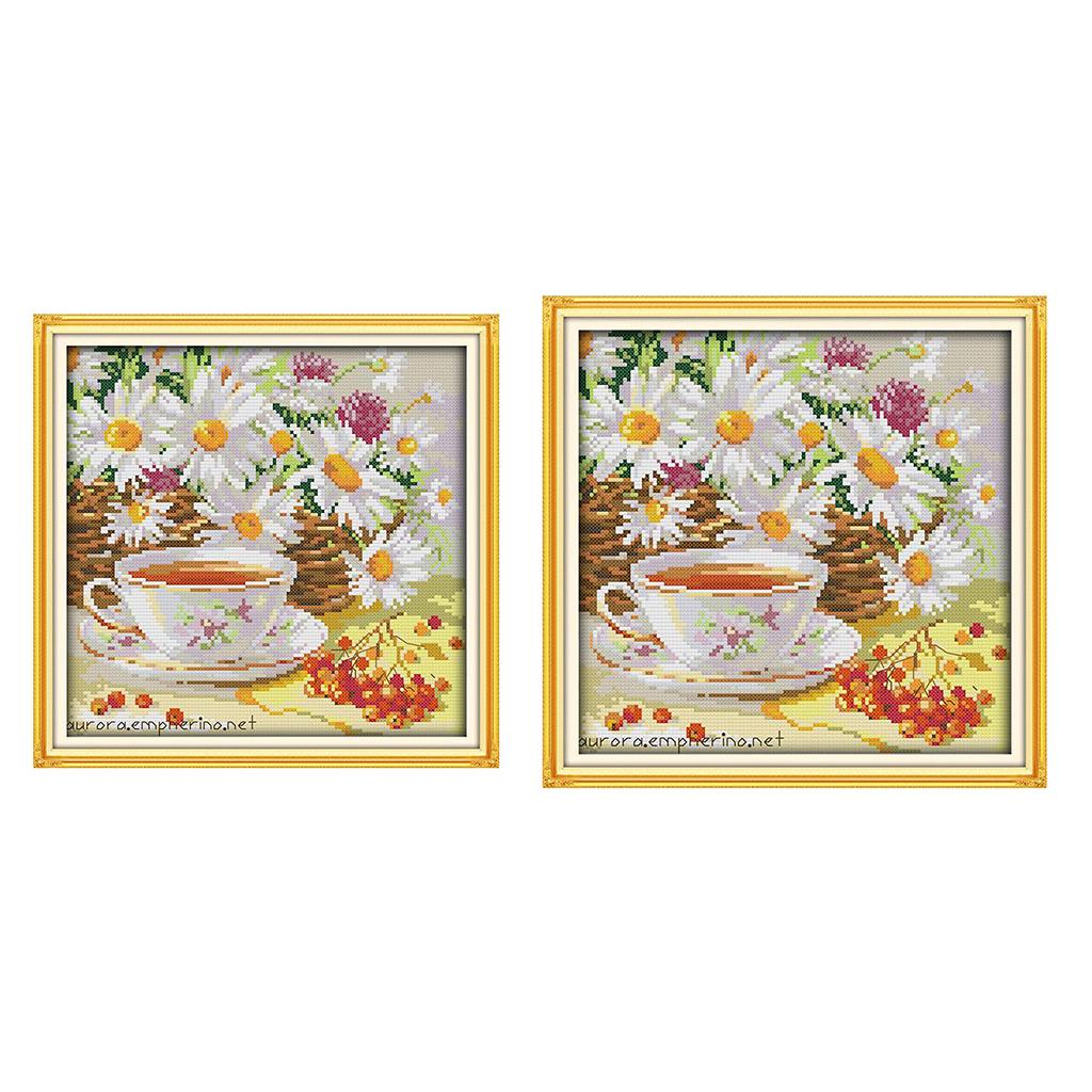Cross Stitch Kits for Adults B - Cross Stitch Stamped Kits Beginners 评论和价格