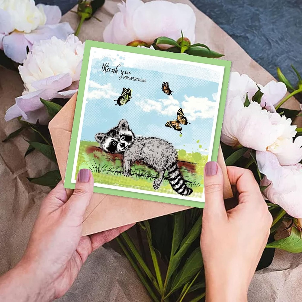 Realistic Raccoons Clear Stamp - Clear Silicone Stamps For Card Making 评论和价格